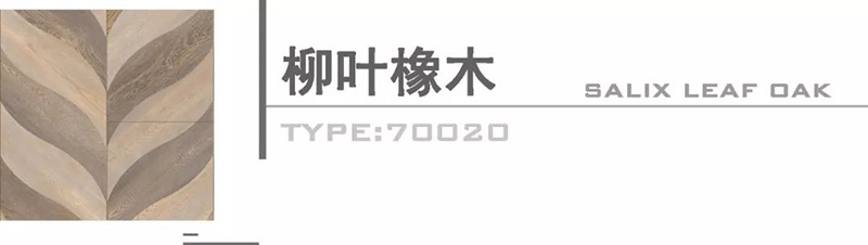 1579426689130511.jpg image047.jpg